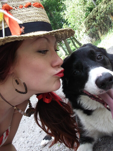 Our Dogs