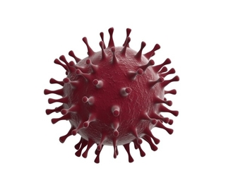 COVID-19 (SARS-CoV-2) Nucleocapsid (N) protein significance in serology diagnosis used in COVID-19 (SARS-CoV-2) ELISA