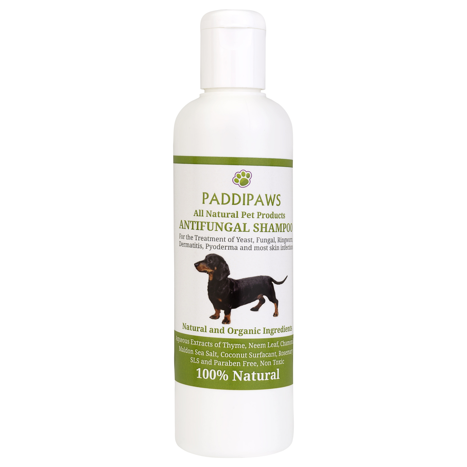 Anti Yeast Dog Shampoo www accuratejudgmentrecovery