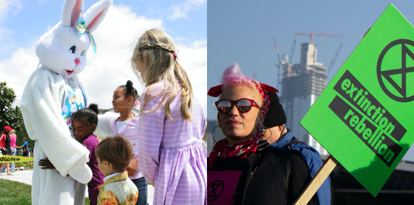 Do you know your bunny-hugger from your Eco-Warrior?