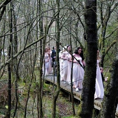 The Alternative Wedding Experience