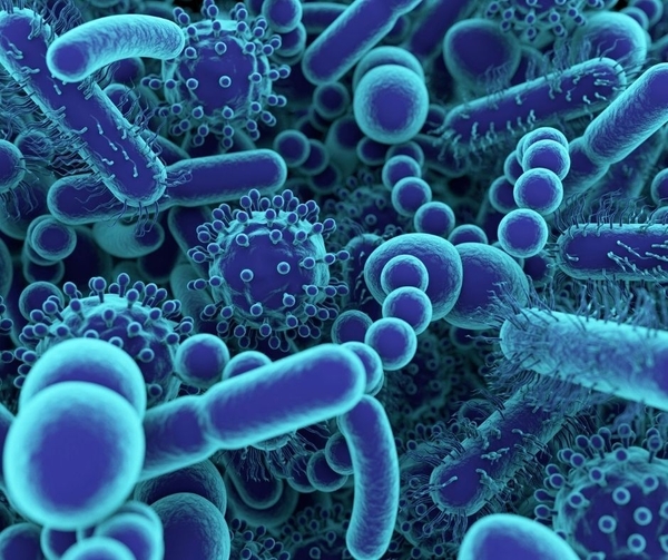 Look After Your Microbiome and It Will Look After You!