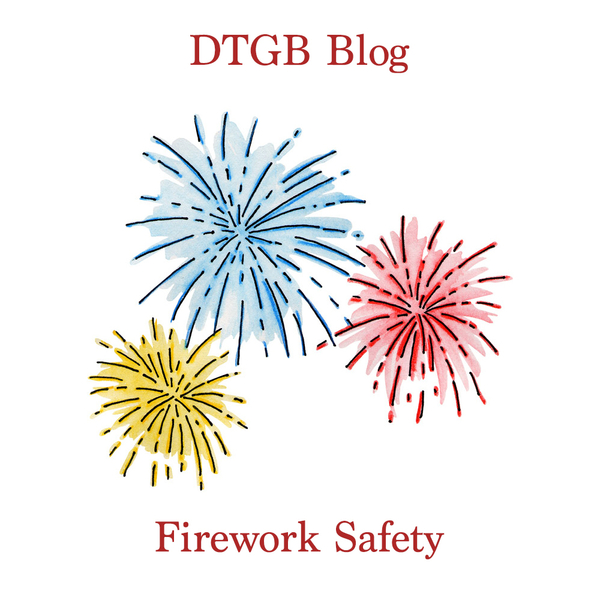 Bonfire Night Safety