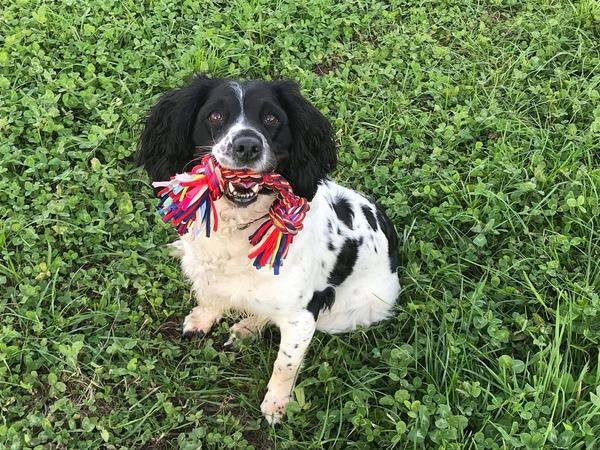 Holly Update