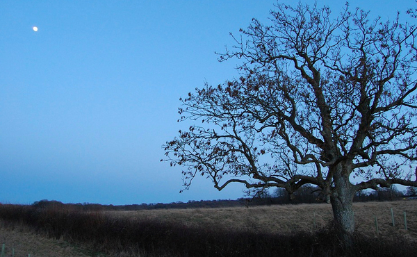 Evensong