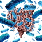 COVID-19 and Gut Microbiota Composition