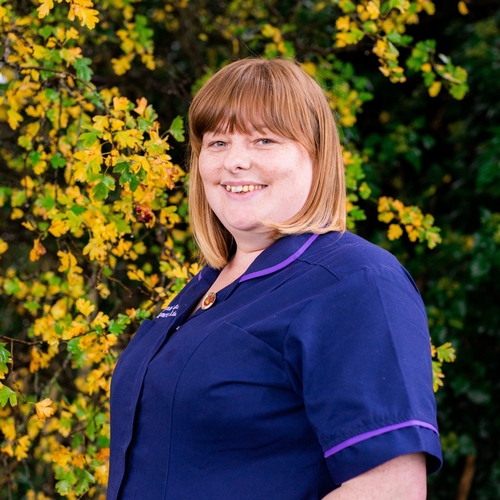 Level 2 Domiciliary Care Assistant