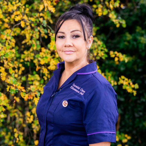 Level 2 Domiciliary Care Assistant