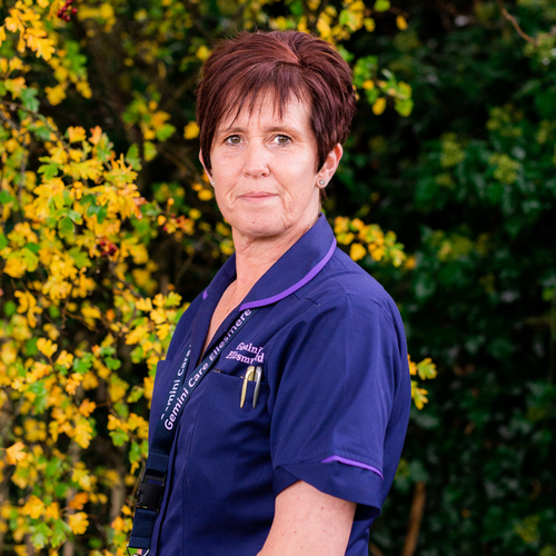 Domiciliary Care Assistant