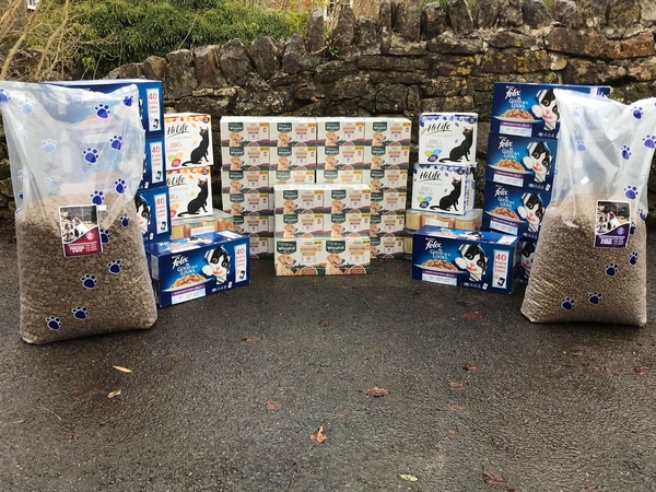 A Helping Hand for Pets in Need