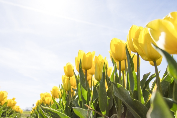 Let’s Make Your Marketing Spring Into Action