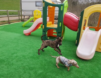 Day Care