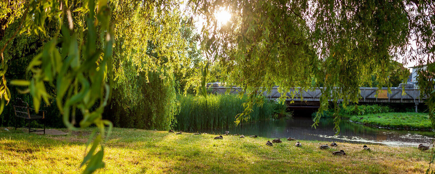 Newport and Carisbrooke Community Council Newport Council Local