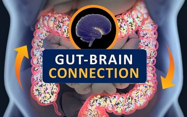 Andy Garland Therapies - Counselling Cardiff - Mental Health Services Cardiff - Cardiff Therapists - anxiety and gut bacteria