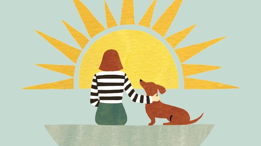 Andy Garland Therapies - Counselling Cardiff - Mental Health Services Cardiff - Cardiff Therapists - animals and mental health - animal therapy