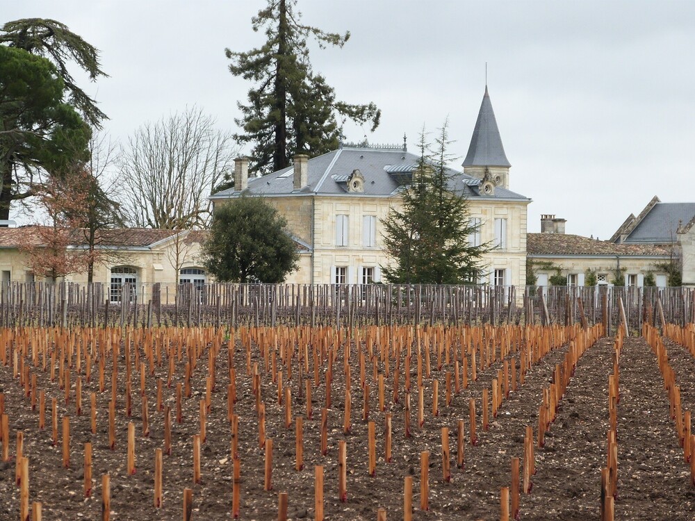 There's a new crater in Saint-Émilion