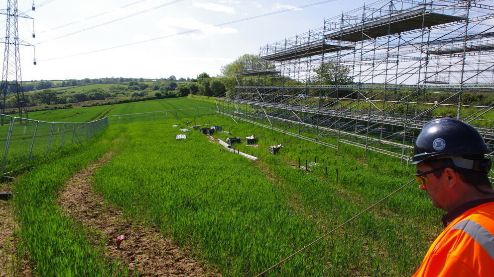Overhead Power-line Scaffolding