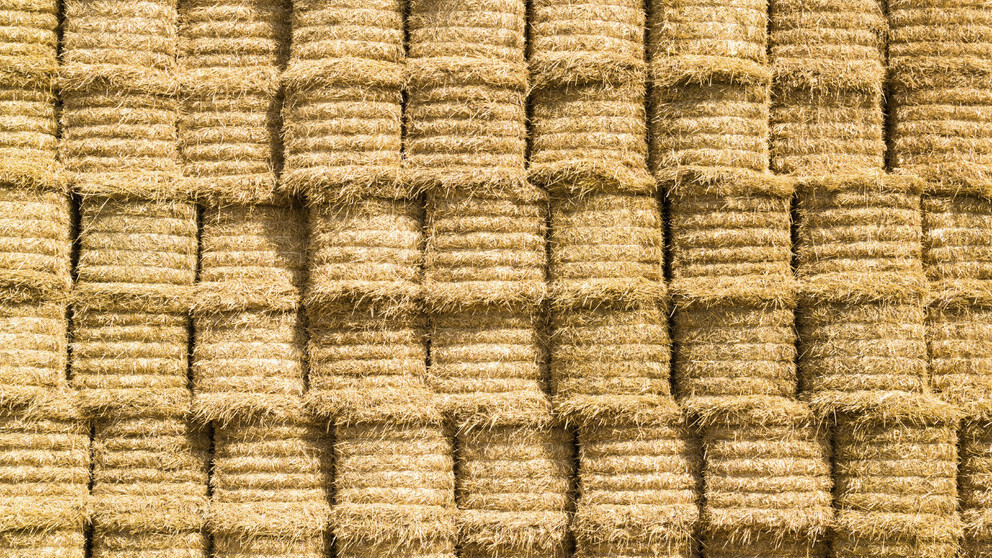 Hay and Straw Stacks