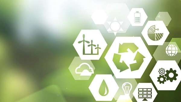 How ESG creates value for businesses and organisations
