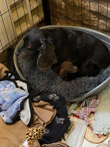 JAKE UPDATE