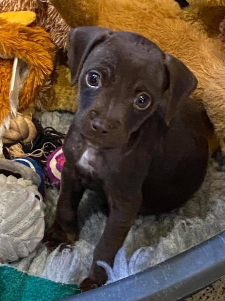 DNA RESULTS FOR JAKE