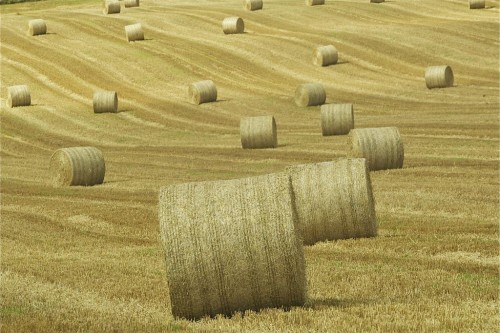 Hay & Straw Bale Security