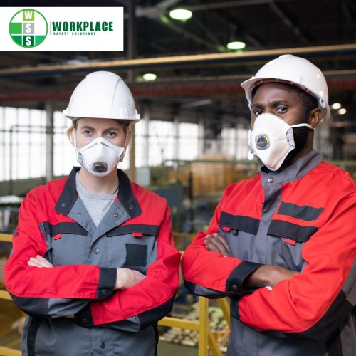 Respiratory Protective Equipment (RPE)