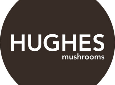 Customer Recommendations