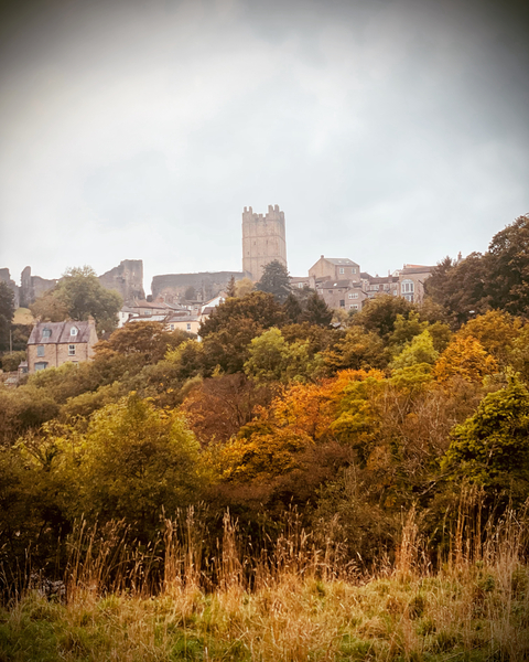 Autumn Walks!