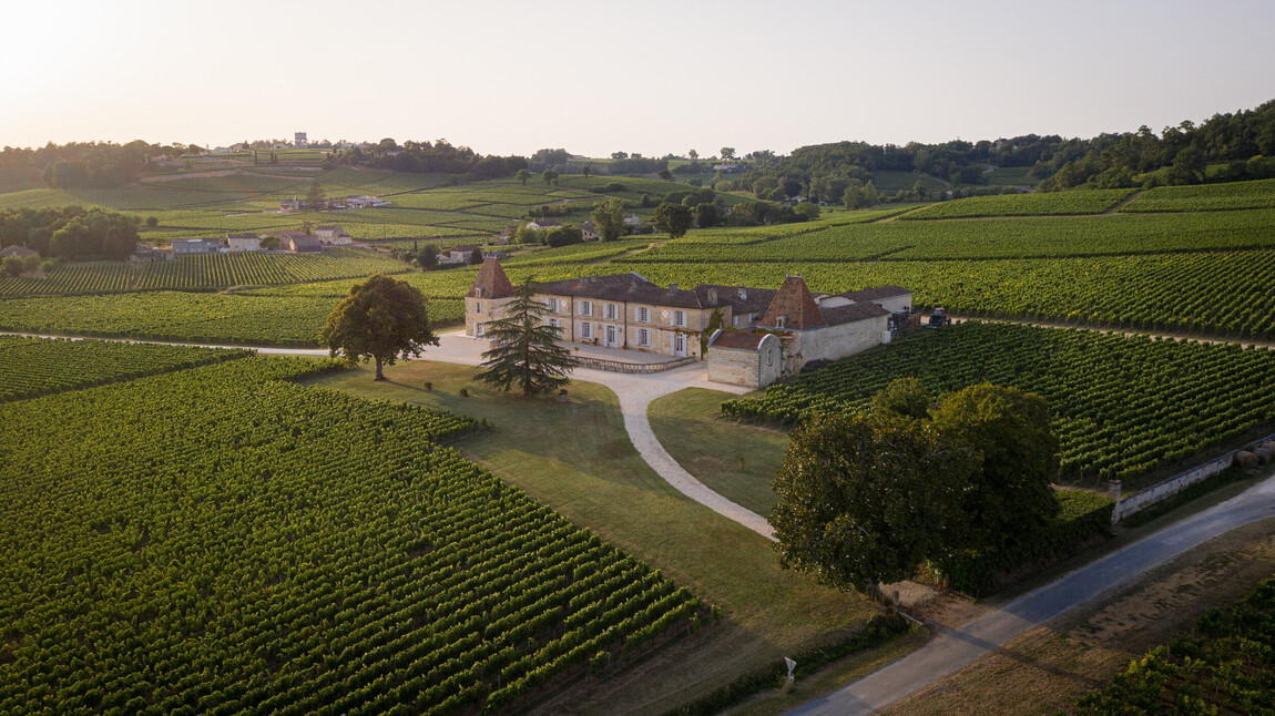 Château Lassègue - A Reborn Saint-Émilion Estate Comes of Age