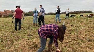 Tree Planting at Pan Country Park