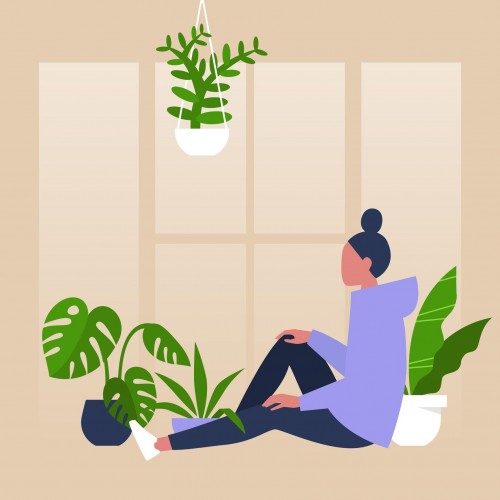 the best houseplants to relieve stress and anxiety