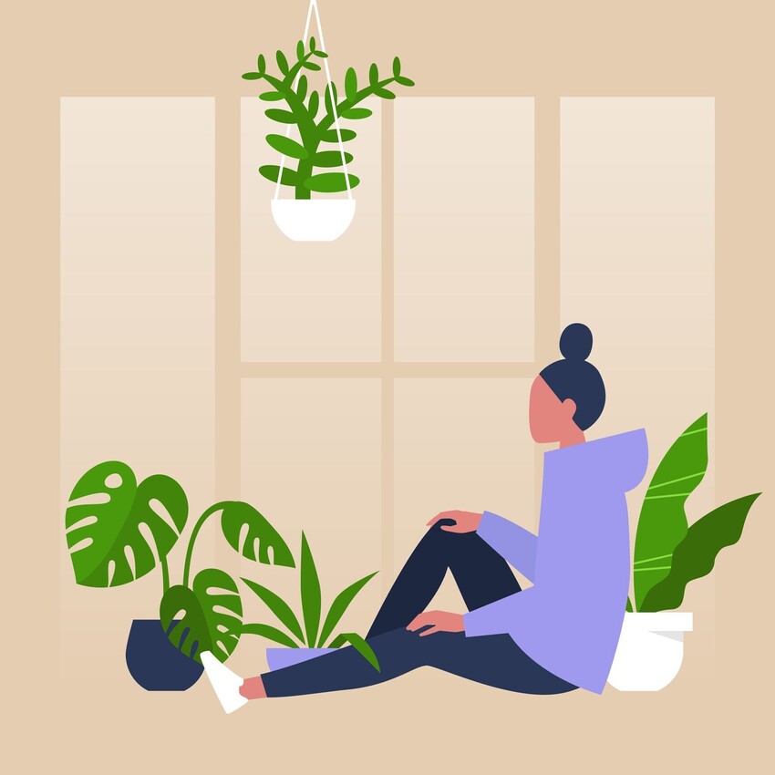 Andy Garland Therapies - Counselling Cardiff - Mental Health Services Cardiff - Cardiff Therapists - house plants and mental health