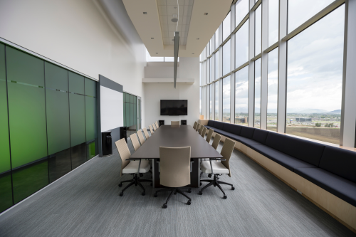 Director Shareholders - Employees, Workers or Self Employed?
