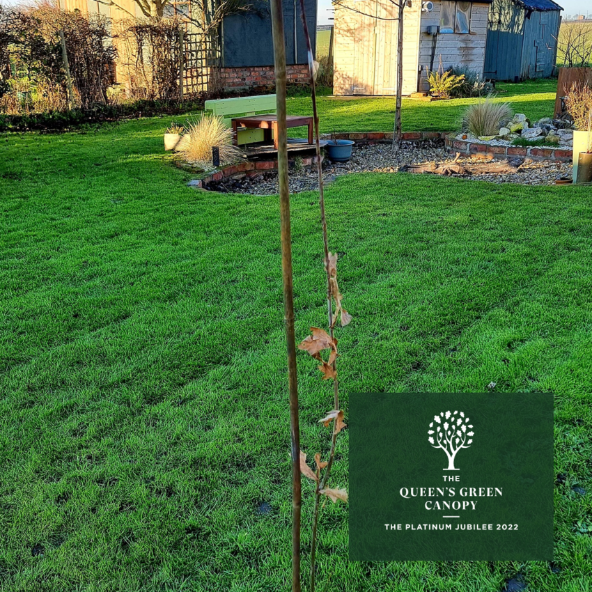 EOS plants for The Queen's Green Canopy