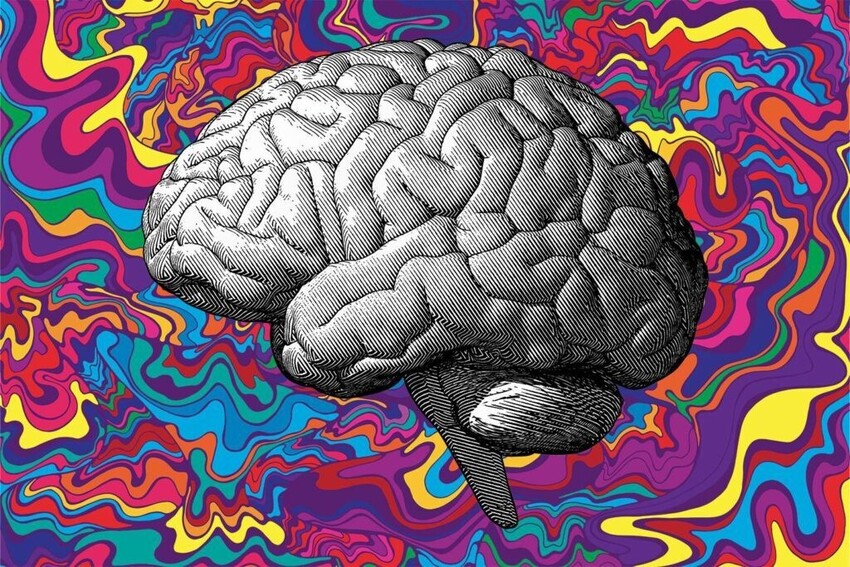 Andy Garland Therapies - Counselling Cardiff - Mental Health Services Cardiff - Cardiff Therapists - magic mushrooms safe to treat mental health