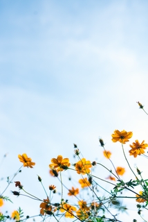 A change of season, new awakenings, new life!