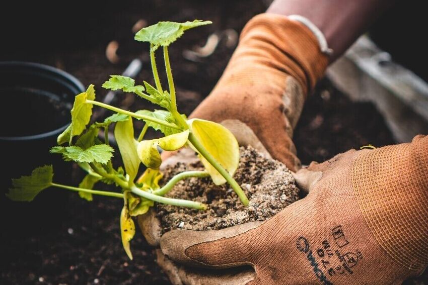 Our Social Impact