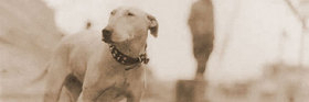 Photo of Patsy Ann of Juneau