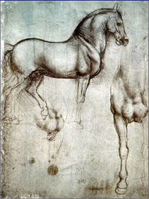 drawing of a horse