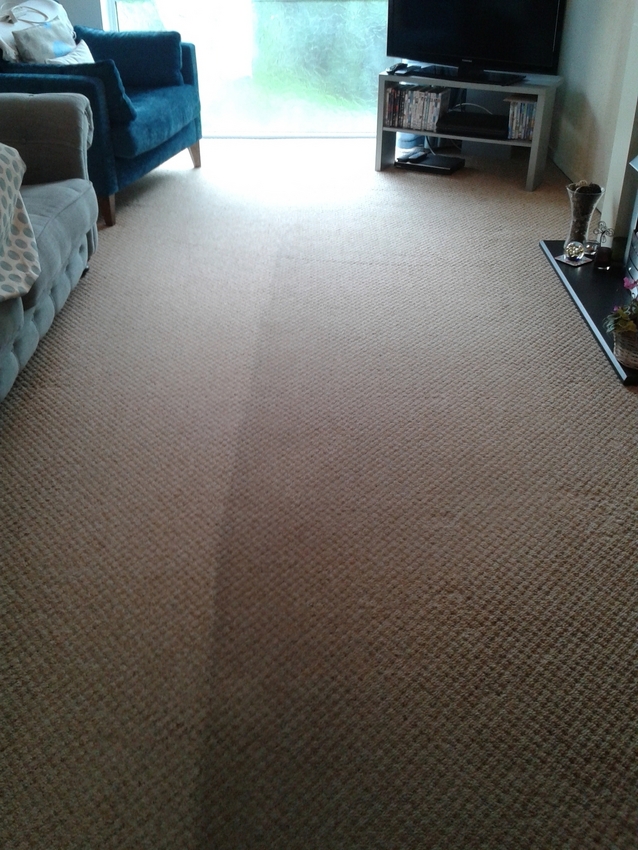 Carpet Cleaning Cardiff