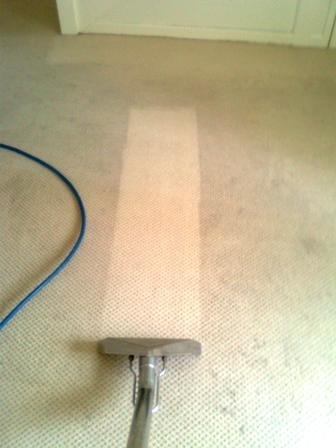 Carpet Cleaning