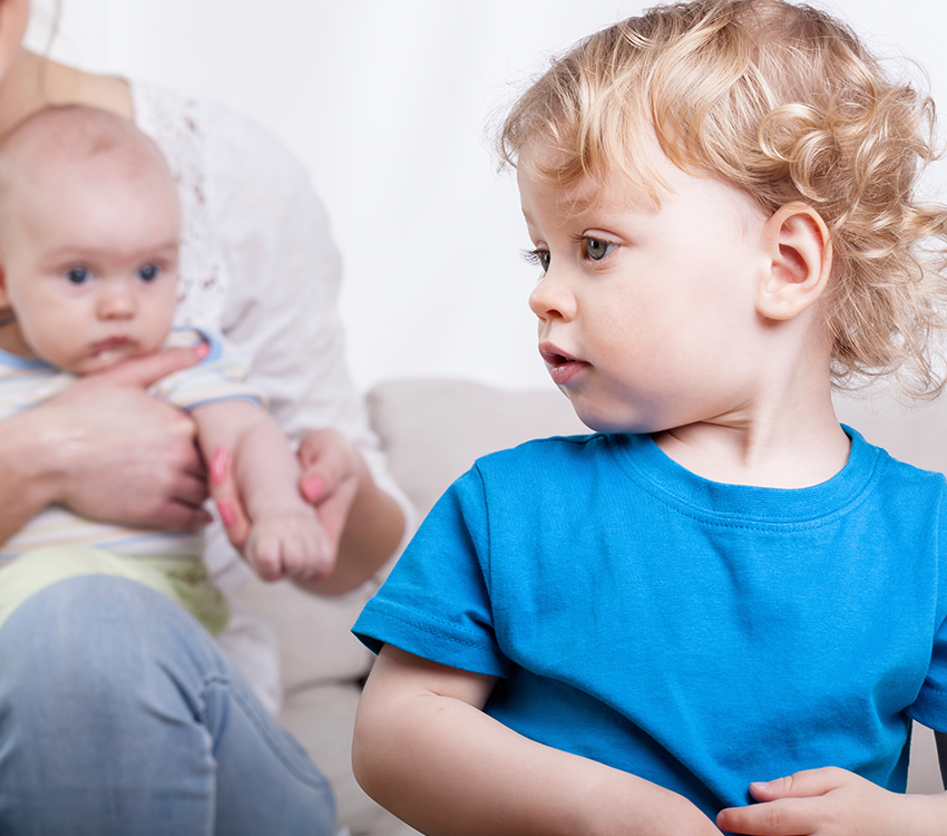 Family Legal Solicitors, services, divorce solicitors, will solicitors