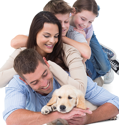 Family Legal Solicitors, solicitors for the whole family