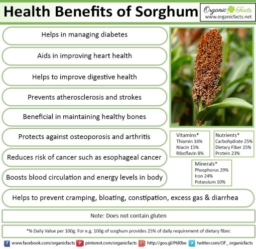 Super Sorghum