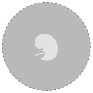 Baby Development