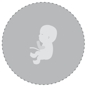 Baby Development