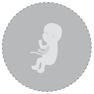 Baby Development