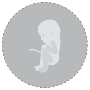 Baby Development