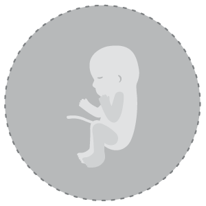 Baby Development